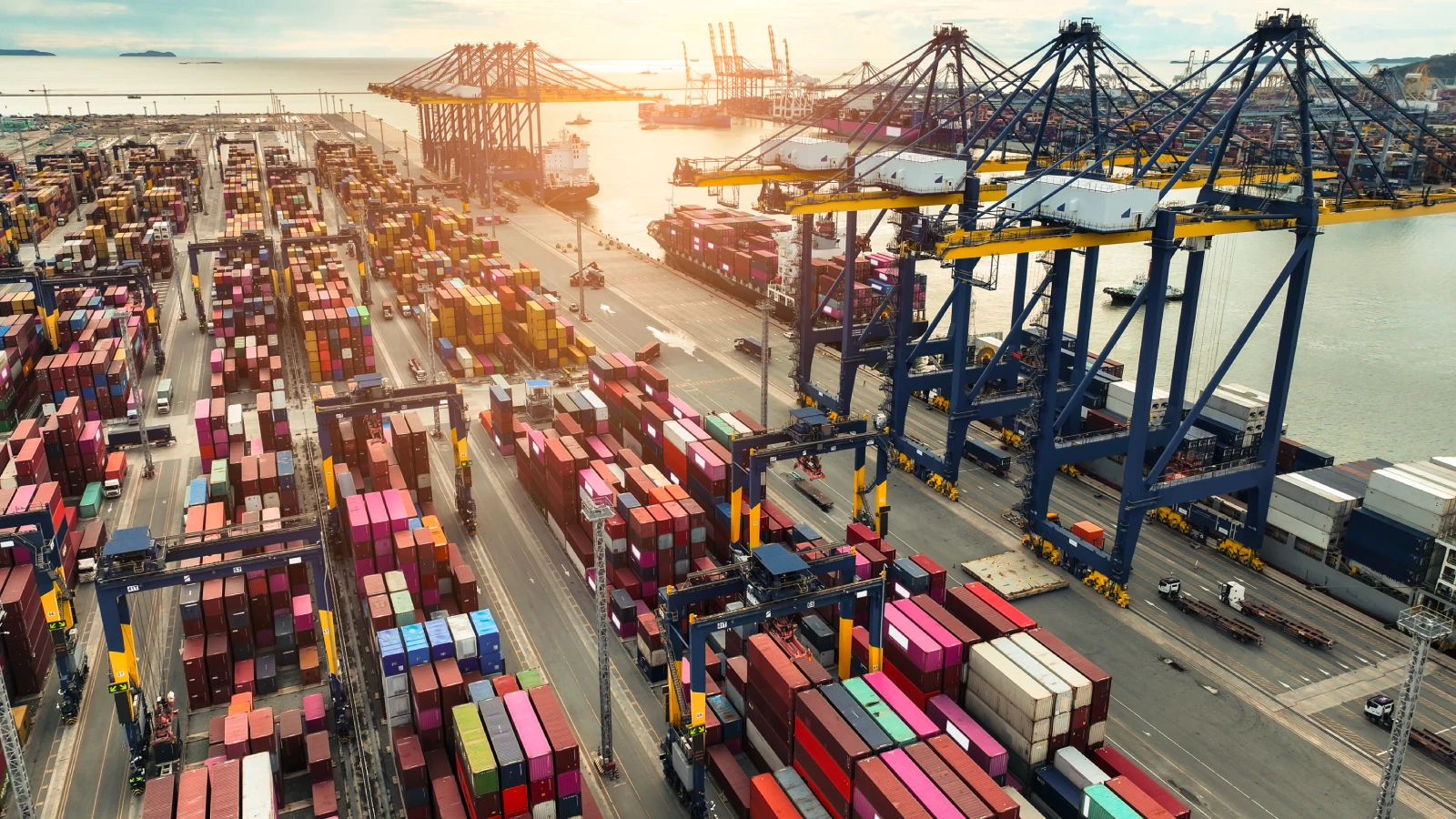 Supply Chain